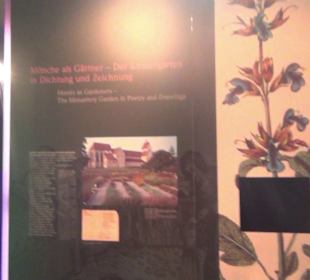 Museum Reichenau Mittelzell