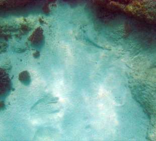 Unterwasser beim Strand am Hotel