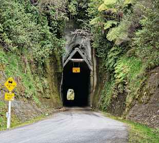 Forgotten World Highway