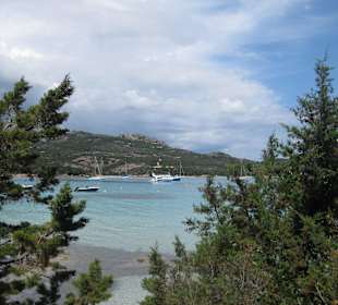 Rondinara