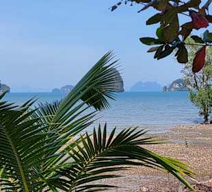 Rundfahrt Krabi
