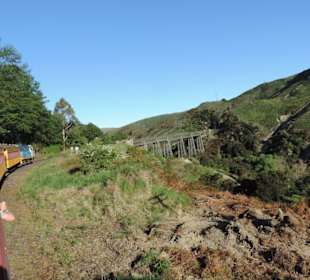Mitder Taileri Railway durch die Natur Neuseelands