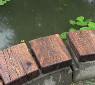 Forellenbächle Glacis Park