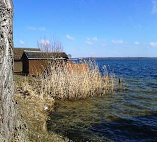 Schaalsee