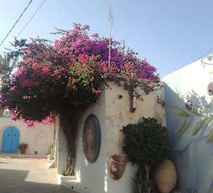 Djerba Hood 