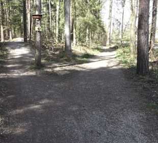 Waldsportpfad im Wasenwald