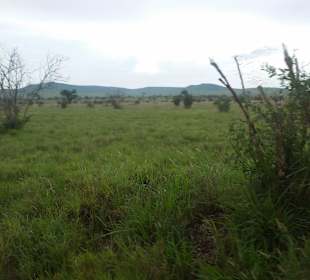 Sarova Salt Lick Game Lodge