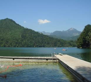 Wo sich Hecht wohl fühlen