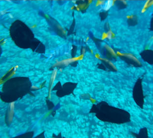 Ausflug 7 Säulen mit Chill Tours