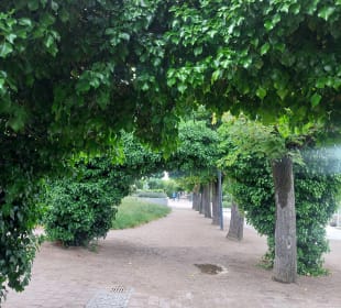 Stadtrundgang Ahlbeck