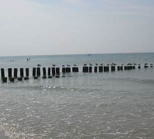 Strand von Domburg