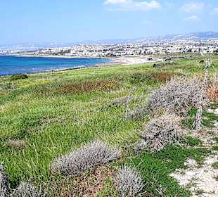 Archäologischer Park Kato Pafos