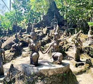 Magic Buddha Garden