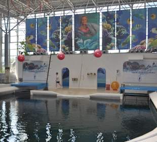 Delfinarium w Warnie
