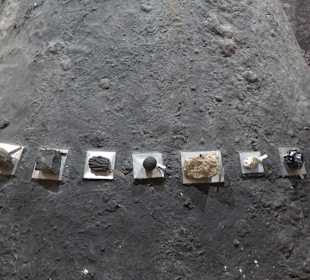 Staatliches Naturkunde Museum