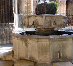 Brunnen im Kreuzgang