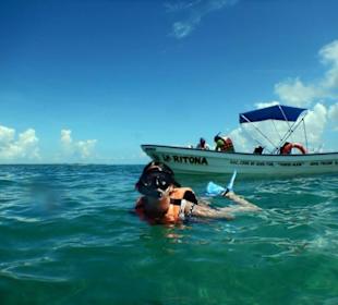 Nach liebevoller Überzeugung durch Otto