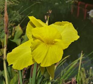 Impressionen aus dem Jardin des Plantes