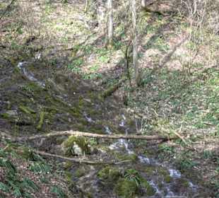 Gütersteiner Wasserfall