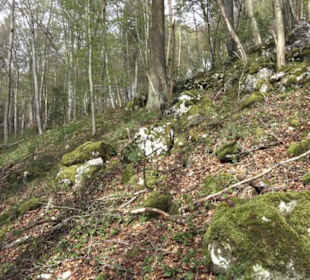 Wanderweg Hochgehswiggert