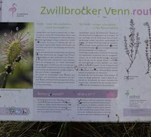 Die Route sind wir mit gut 6 km gelaufen