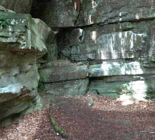 Wanderweg - Alter Steinbruch Pfaffenberg Runde
