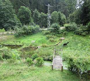  Gasthaus Hornesselwiese