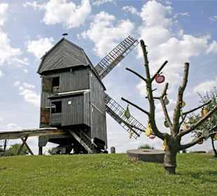 Historische Mühle