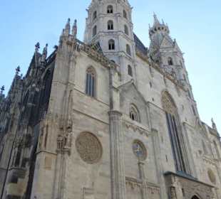 Der Stephansdom am Tag