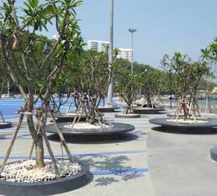 Sitzgelegenheiten und viel Grün