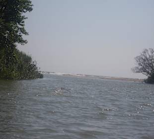 Blick vom Fluss zum Meer