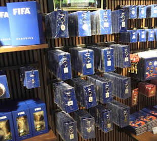 FIFA World Football Museum