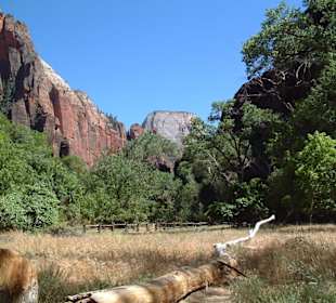 Parco nazionale Zion