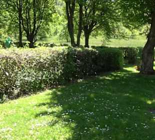 Friedhof Gönningen