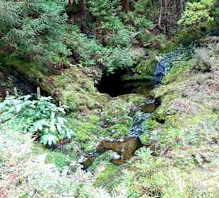 Inselrundfahrt Terceira