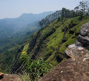 Ausblick vom Ellaberg