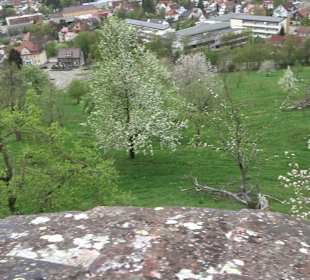 Schloss ob Ellwangen