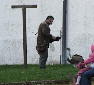 Falkenflugshow Falkenhof Augustusburg
