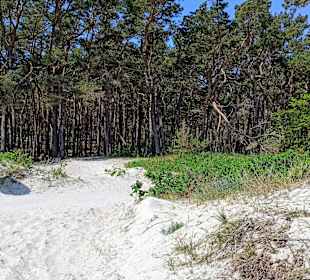 Strand Breege-Juliusruh