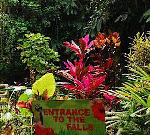Am Eingang zu den Somerset Falls