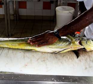 Fisch wird küchenfertig zubereitet