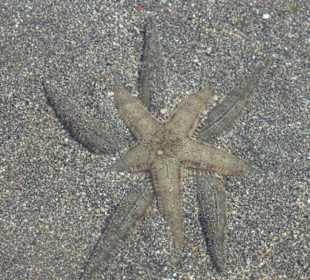 Die Insel Bunaken liegt im Marine Nationalpark