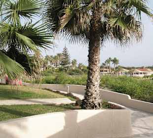 Strandweg am Nissi Beach