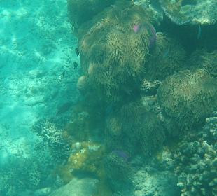 Unterwasser