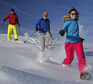Schneeschuhwandern