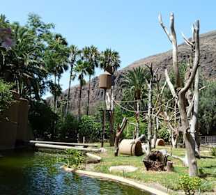 Palmitos Park in Maspalomas
