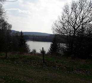 Blick auf Steinbachtalsperre (Aussicht Köhlerpfad)