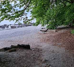 Binz