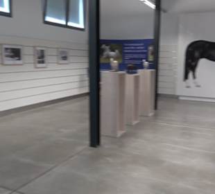 Haupt- und Landgestüt Marbach