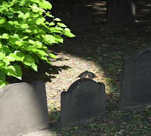King's Chapel Burying Ground